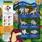 STEM.org Dinosaur Painting Kit for Kids with Dino Trivia-Dinosaur Crafts for Kids Ages 3-5 + w/ 2T-Rex Dinosaur Set - Screen Free, Educational Dinosaur Gifts for Boys, Dino Art Projects for Kids 4-6